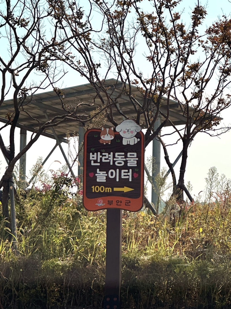 사진 3