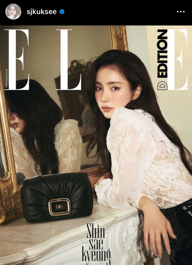  명품 엠버서더 신세경 로저비비에 최근 뮬 가방 구두