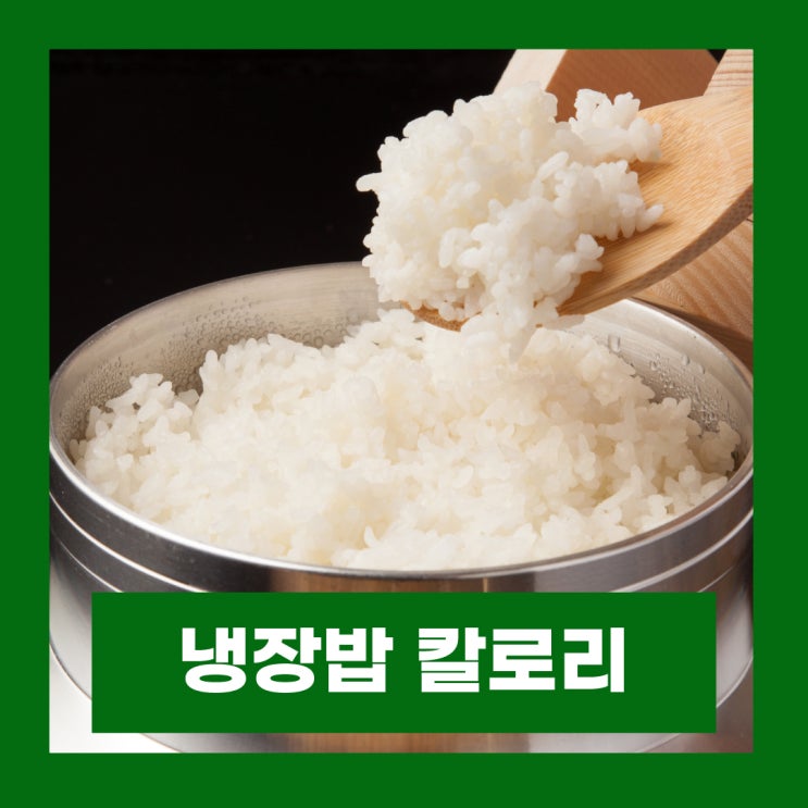  냉동밥 냉장밥 칼로리 낮아지는 이유와 정확한 방법