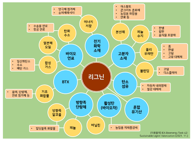 무궁무진한 쓰임새의 친환경 소재 리그닌, 최신 연구 동향 한눈에 무궁무진한 쓰임새의 친환경 소재 리그닌, 최신 연구 동향 한눈에
