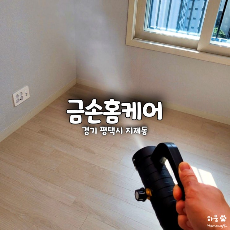  평택 입주청소 줄눈 해충방역 청소업체 금손홈케어 후기
