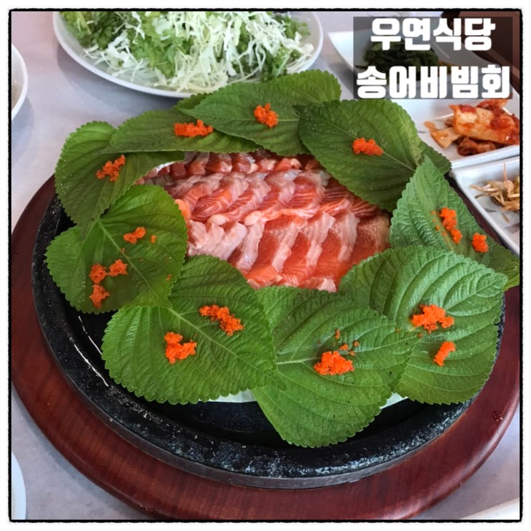 송어회맛집 대청댐 우연식당 송어비빔회 송어매운탕 맛 후기