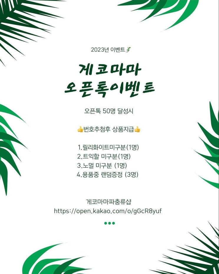  울산 파충류샵 게코마마 다양한 게코 도마뱀 분양 입양