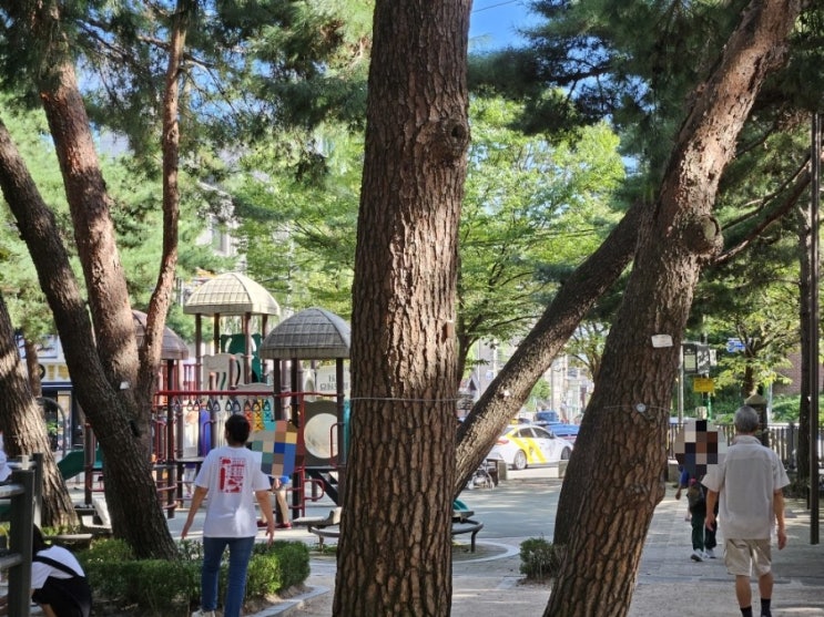  솔밭 근린공원 | 강북 우이동 여유로운 도심 소나무 숲 공원 (너구리, 숲속문고)