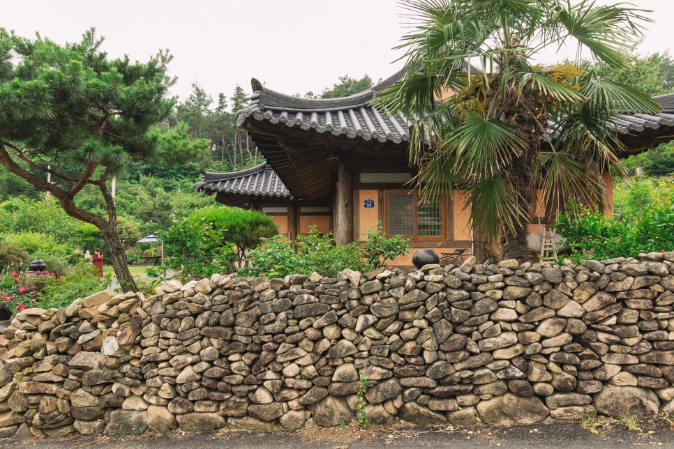 청향채 사진 6