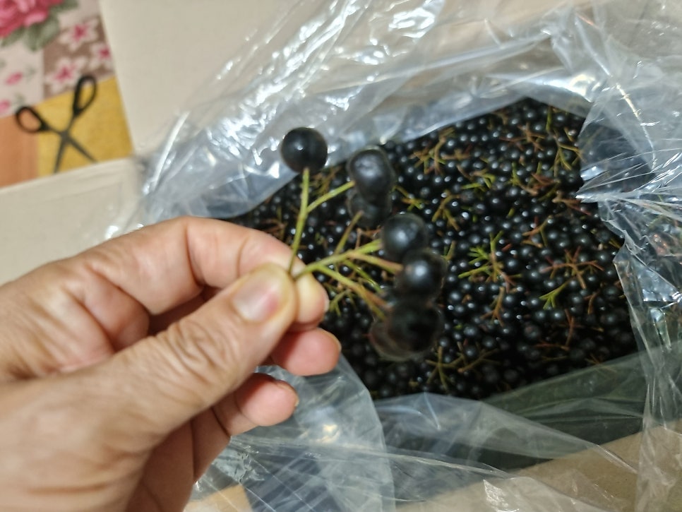 송골 사진 2