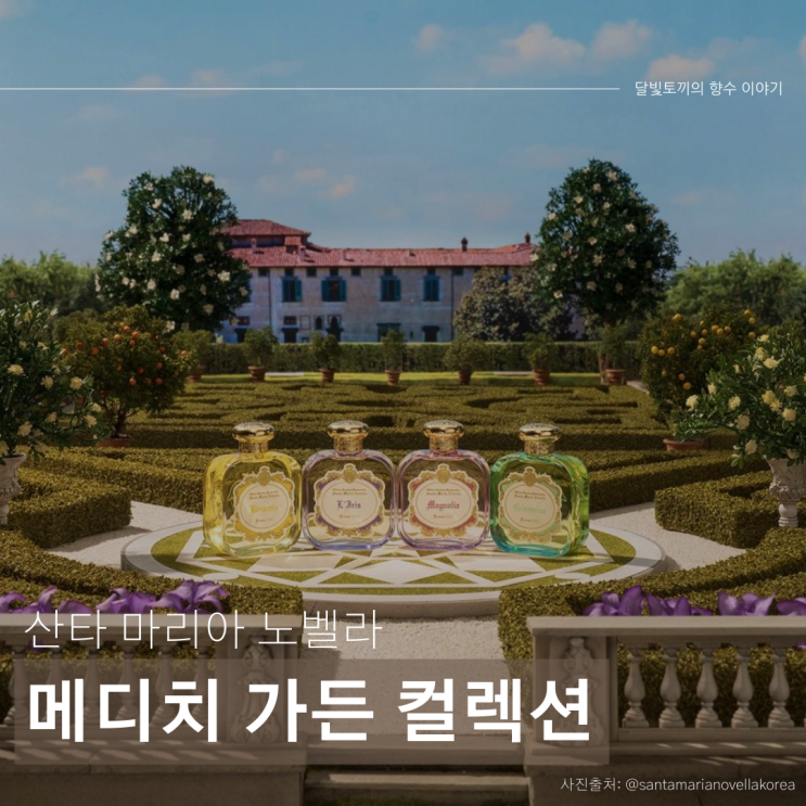   산타 마리아 노벨라 메디치 가든 컬렉션: 피렌체의 소중한 기억을 간직한 아름다운 꽃과 식물들의 이야기 