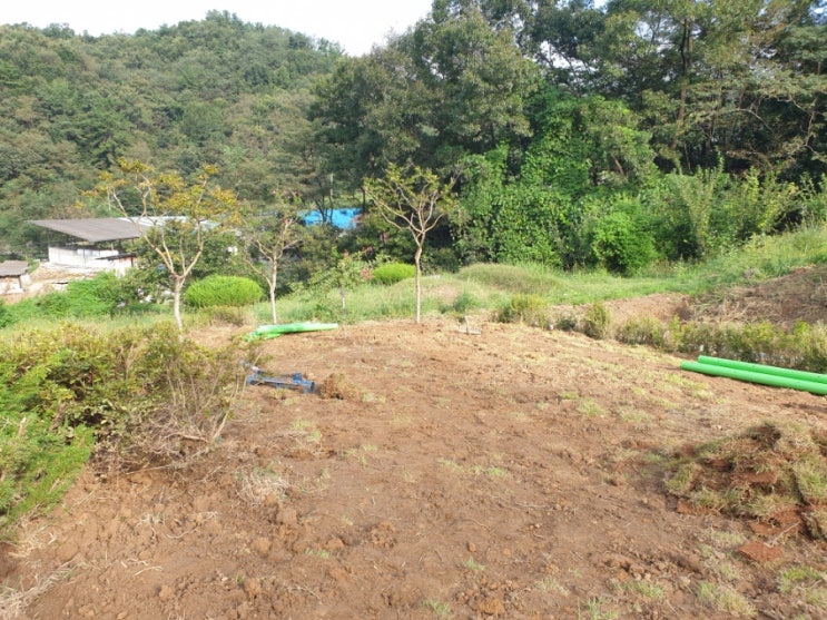  2023년 김천 어모면 산소벌초와 잔디조성 산소주변 수로공사및 펜스 설치공사 고인돌장묘개발장의사