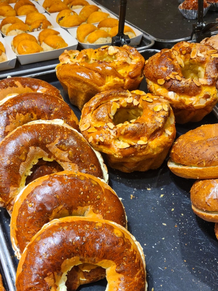  [마산 고려당] 빵지순례 필수 코스 창동 빵집