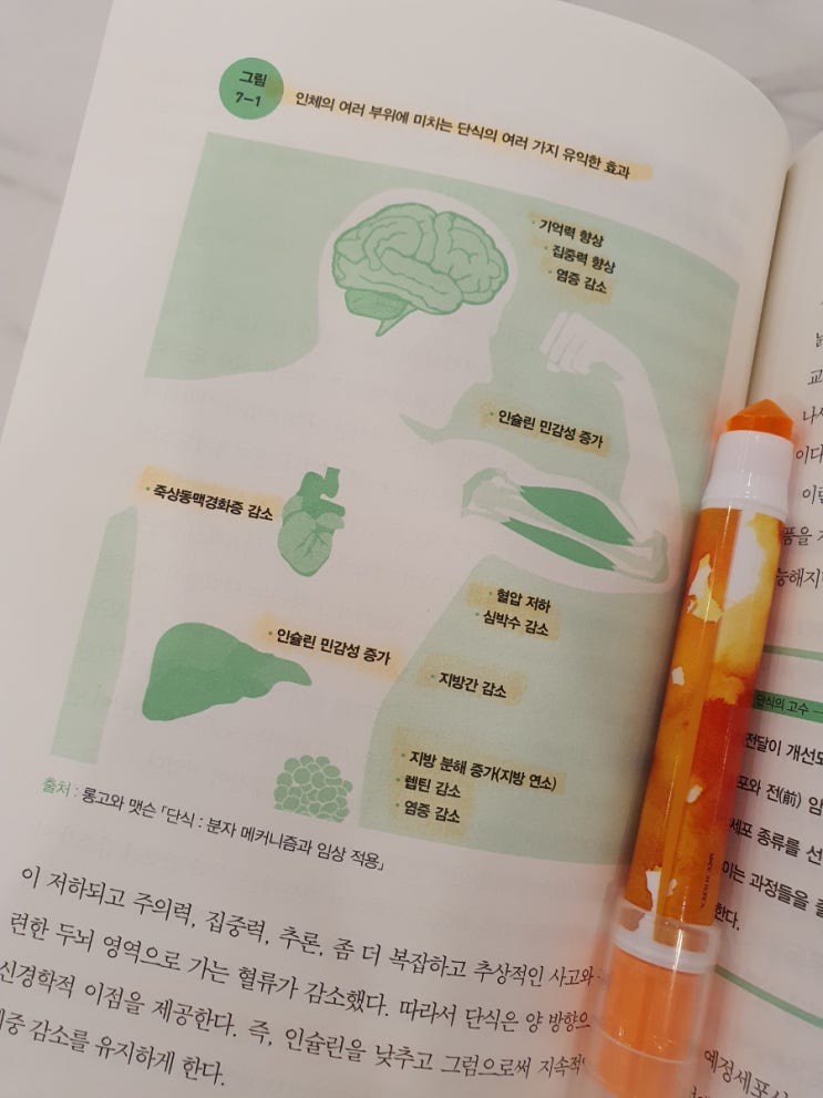  [단식효과]인체의 여러 부위에 미치는 단식의 유익한 12가지 효과