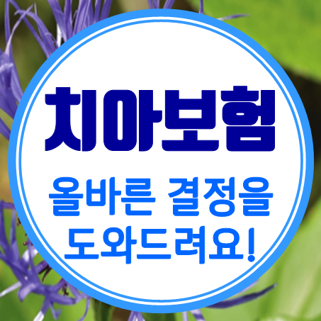  치아보험료와 치아보험 금액 비교! 어떤 상품이 좋을까?