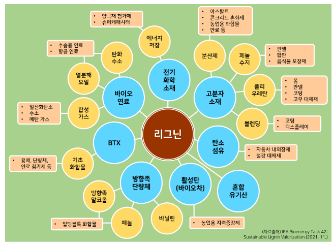 무궁무진한 쓰임새의 친환경 소재 리그닌, 최신 연구 동향 한눈에