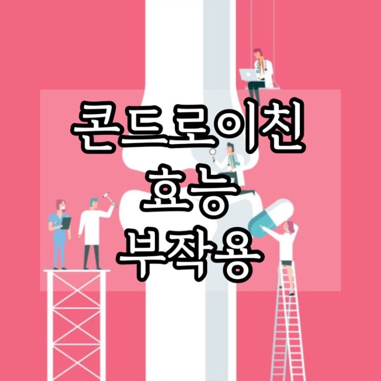  콘드로이친 효능 부작용, 성분
