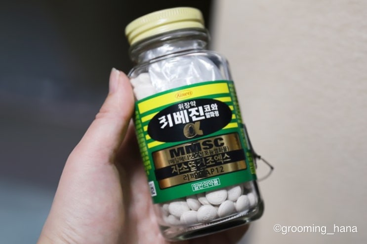 일본 국민 위장약 카베진 소화제: 복용법, 효능, 부작용, 가격까지