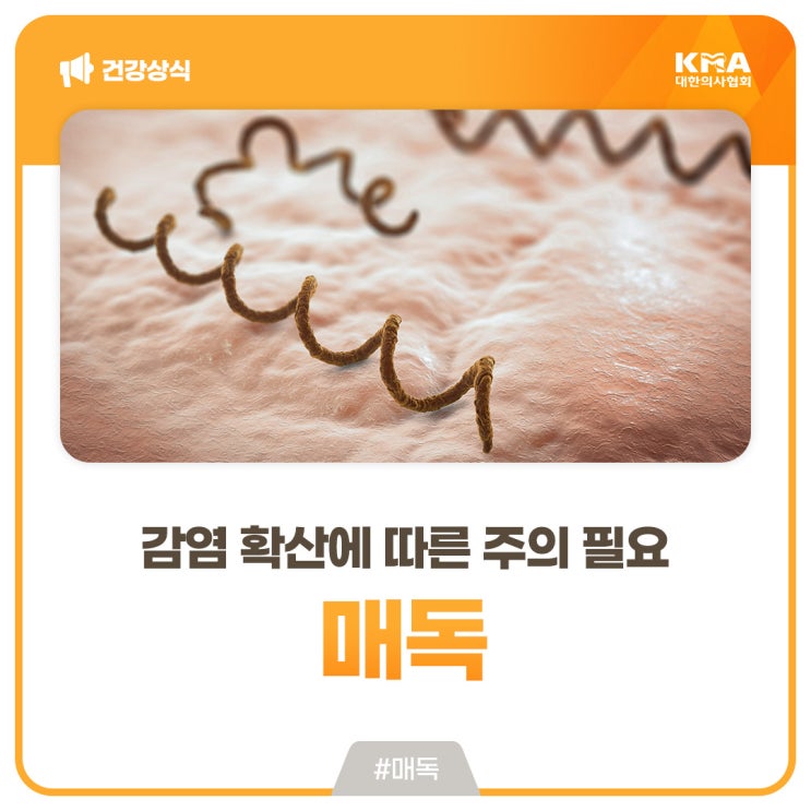  성매개감염병 매독, 감염 확산에 따른 예방 주의 필요