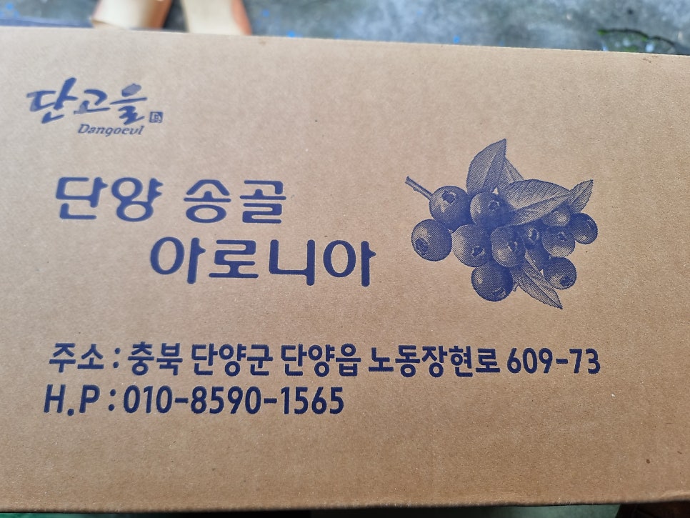 송골 사진 3