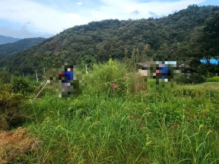  2023년 김천 어모면 산소벌초와 잔디조성 산소주변 수로공사및 펜스 설치공사 이틀공사 김천고인돌장의사