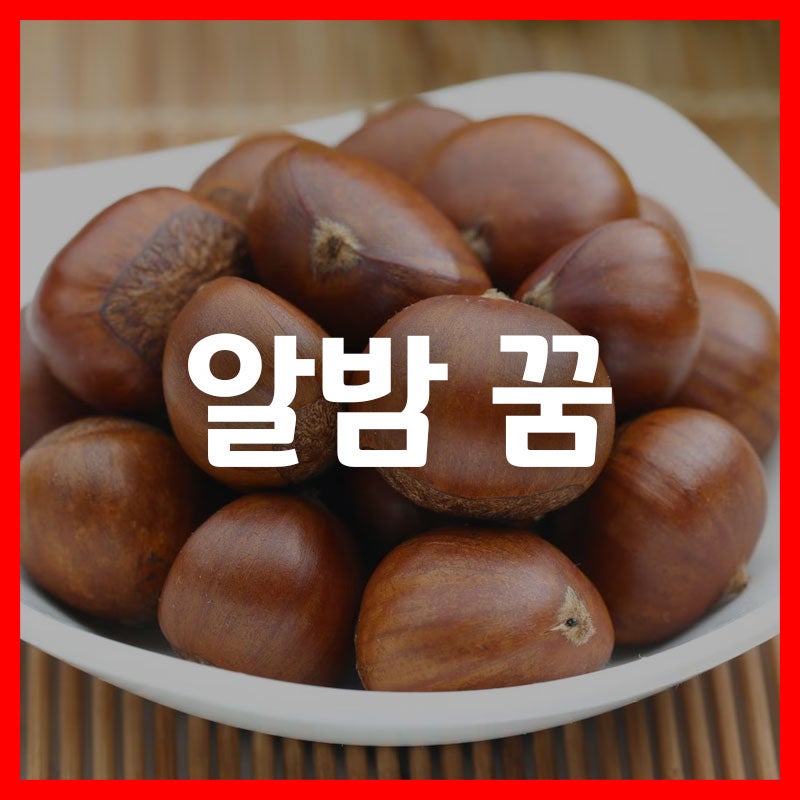 밤 꿈 꿈 밤 까는 꿈 따는 꿈 먹는 꿈 사는 꿈 줍는 꿈 앨범