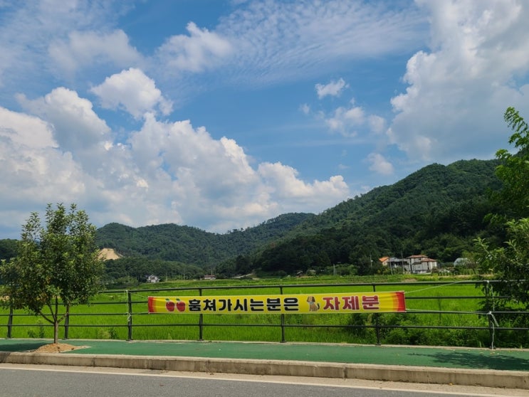  즉흥 P의 여행 강원도 인제편