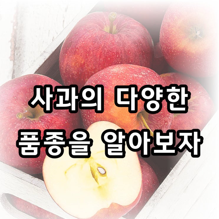  1.맛있는 사과의 품종, 염증을 잡는 놀라운 사과의 효능