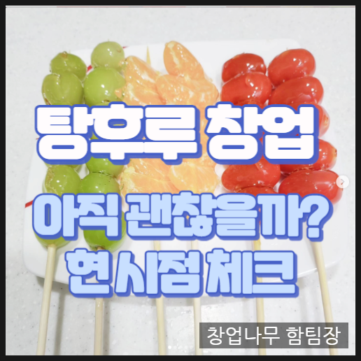  탕후루 창업 아직 괜찮을까 유행하는 아이템
