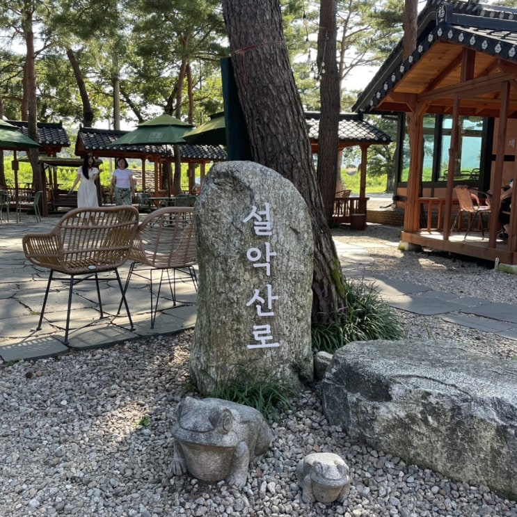  [속초카페] 소나무 그늘이 인상깊은 고즈넉한 한옥카페 “설악산로” 방문 후기(내돈내산)