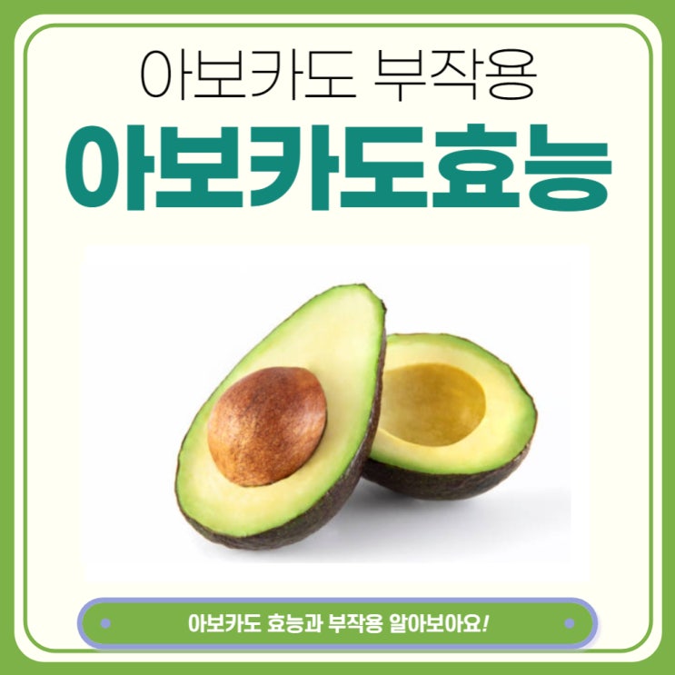  아보카도 효능과 부작용 아보카도오일 알아보아요.
