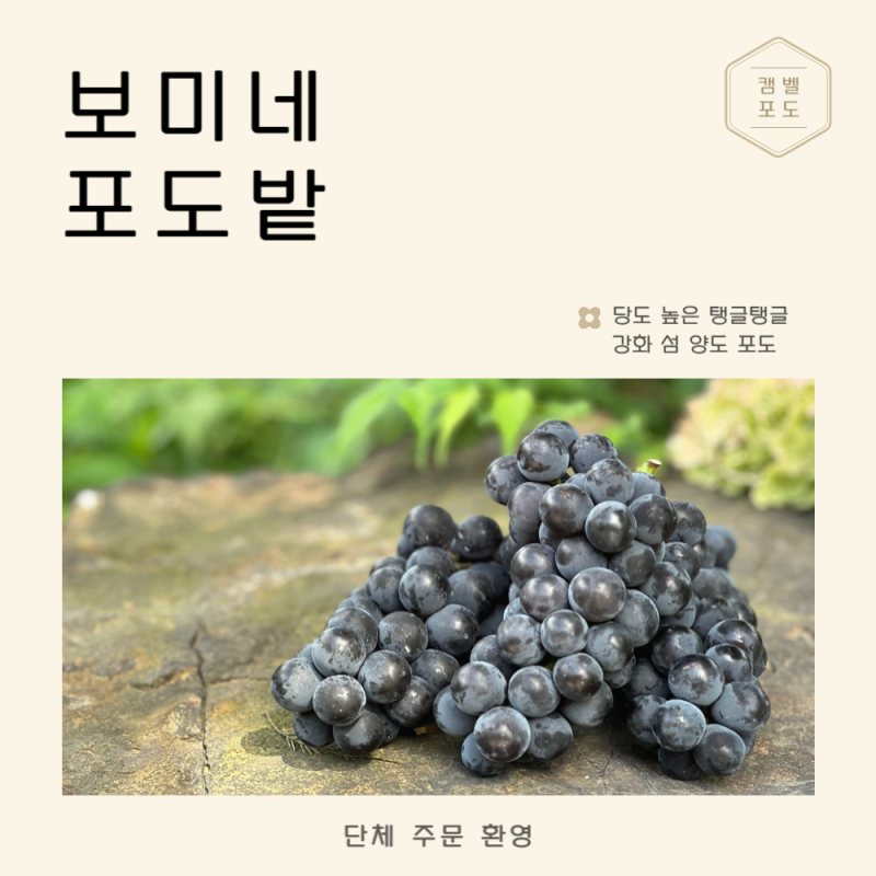 정문길110 이미지