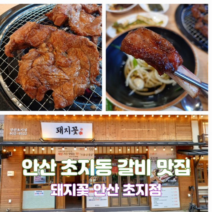 안산 초지동 갈비 맛집 돼지꽃 초지점 국내산 돼지갈비 고기집 안산 초지동 갈비 맛집 돼지꽃 초지점 국내산 돼지갈비 고기집