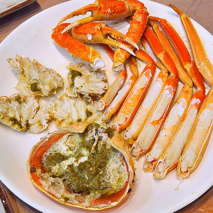  속초 대포항 맛집 명가횟집 애견동반 룸 횟집 푸짐한 대게코스