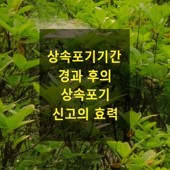  상속 - 포기기간 경과 후의 상속포기 신고의 효력