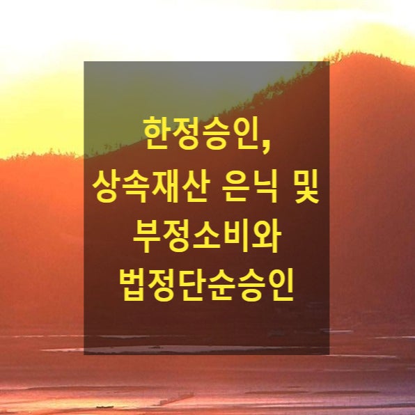  상속 - 한정승인, 상속재산 은닉 및 부정소비와 법정단순승인