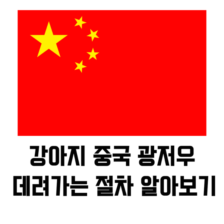  강아지 중국 광저우 데려가는 절차 알아보기, 사람없이 화물배송