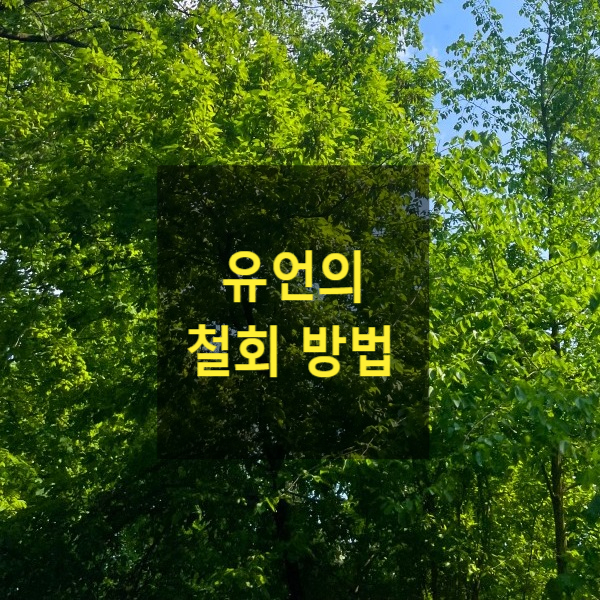  상속 - 유언의 철회 방법