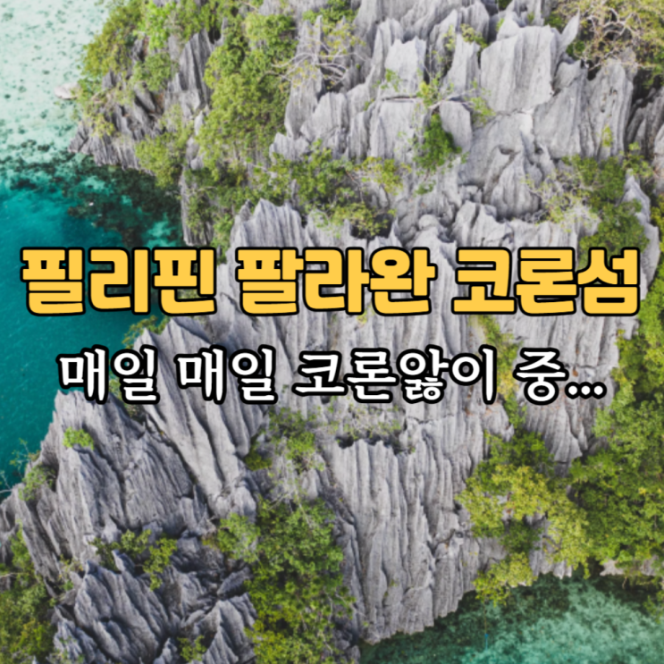  필리핀 팔라완 여행 직항 코론 섬 호핑 스쿠버다이빙 투어