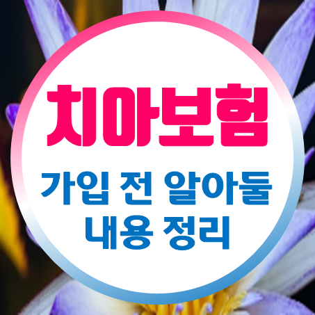  치아보험 가입 조건과 치아보험 비갱신형의 특징을 알고 건강한 미소 지키세요.
