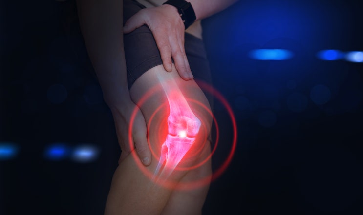 무릎관절영양제 콘드로이친효능과 콜라겐효능은 무릎관절영양제 콘드로이친효능과 콜라겐효능은