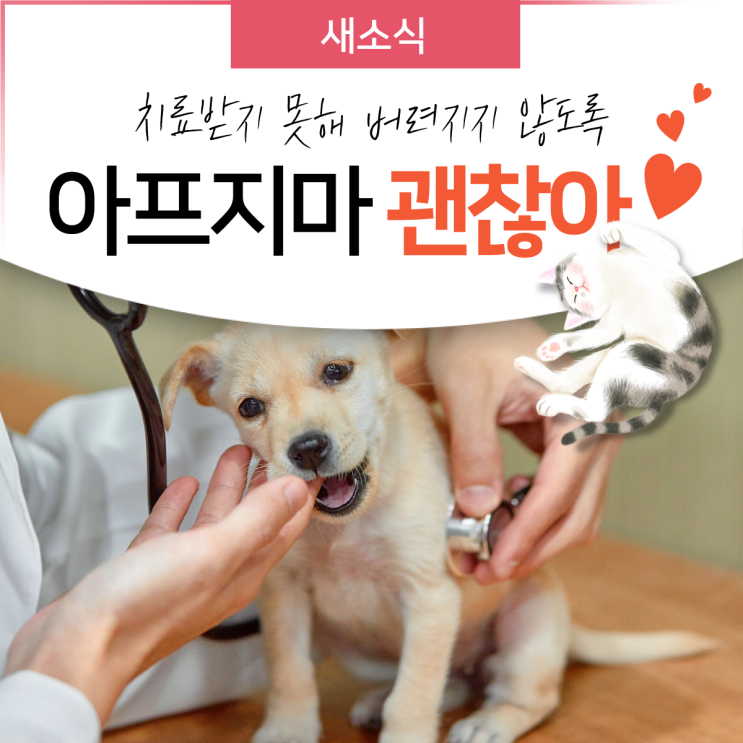 성남시 <b>시립</b> 동물<b>병원</b> 개소