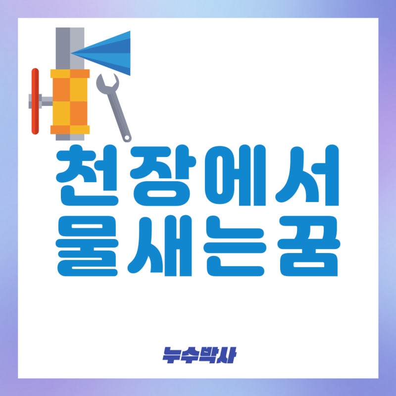 천장에서 물새는꿈 비새는꿈 여러 상황 꿈 해몽
