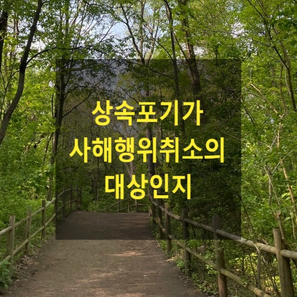  상속 - 상속포기가 사해행위취소의 대상인지