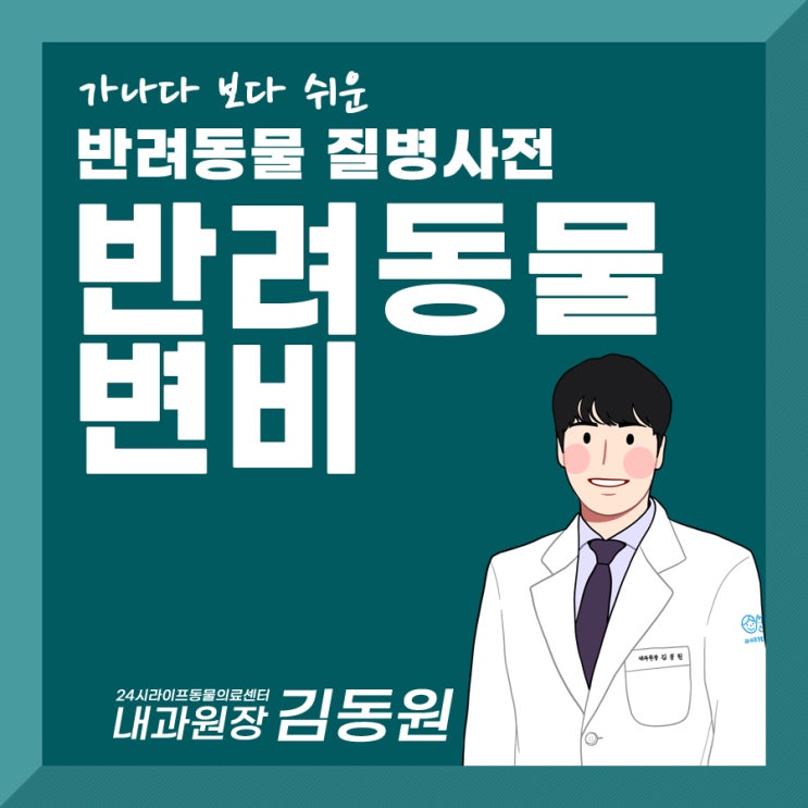 대구24시동물병원 강아지 고양이 변비 : 강아지 고양이가 똥을 못 눠요 대구24시동물병원 강아지 고양이 변비 : 강아지 고양이가 똥을 못 눠요