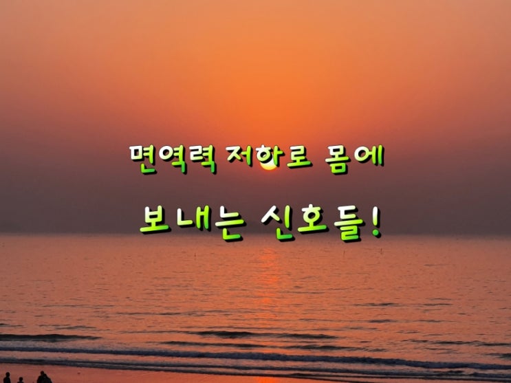 면역력 저하로 몸에 나타나는 신호들! 면역력 저하로 몸에 나타나는 신호들!