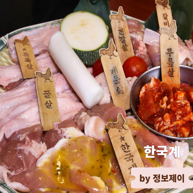  잠실새내역 맛집 닭특수부위구이 전문점 한국계
