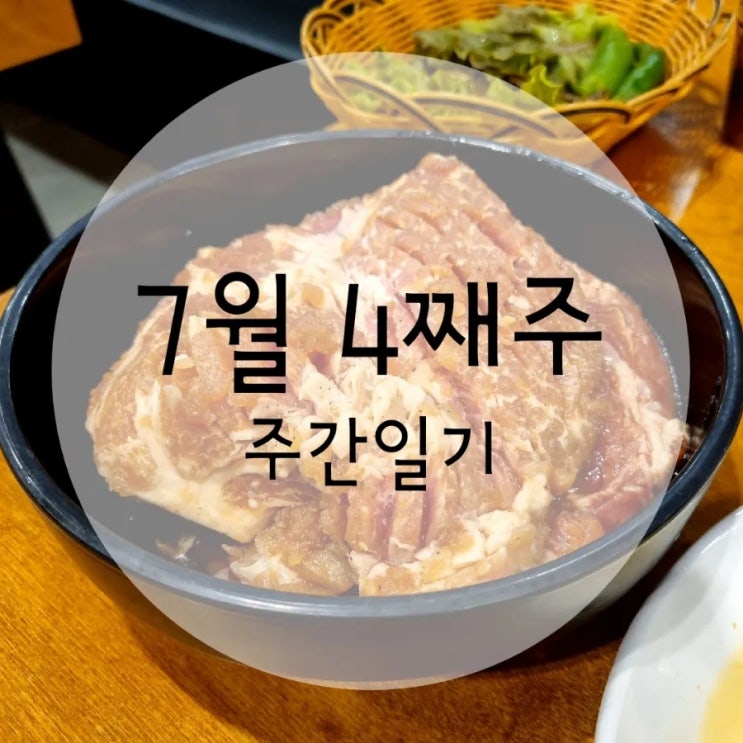  7월 4째주 주간일기 (세부여행)