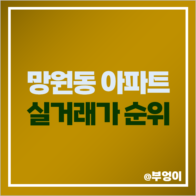 서울 망원동 한강뷰 아파트 매매 가격 순위 마포 한강 아이파크 부동산 시세 서울 망원동 한강뷰 아파트 매매 가격 순위 마포 한강 아이파크 부동산 시세