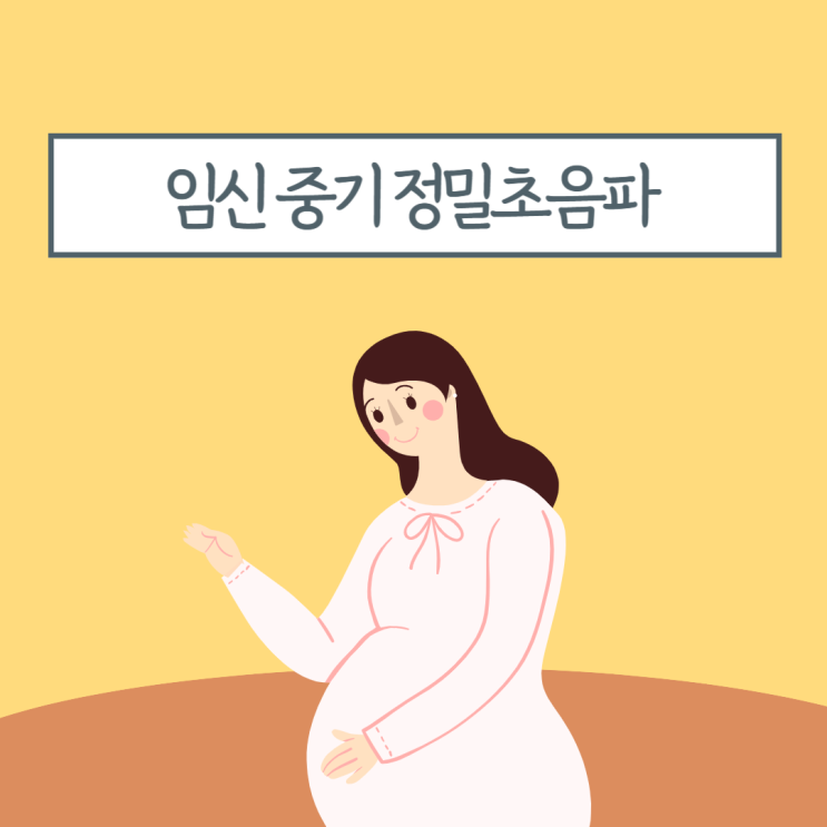  임신 중기 정밀초음파 (Level 2) 2차 기형아 검사시기 항목