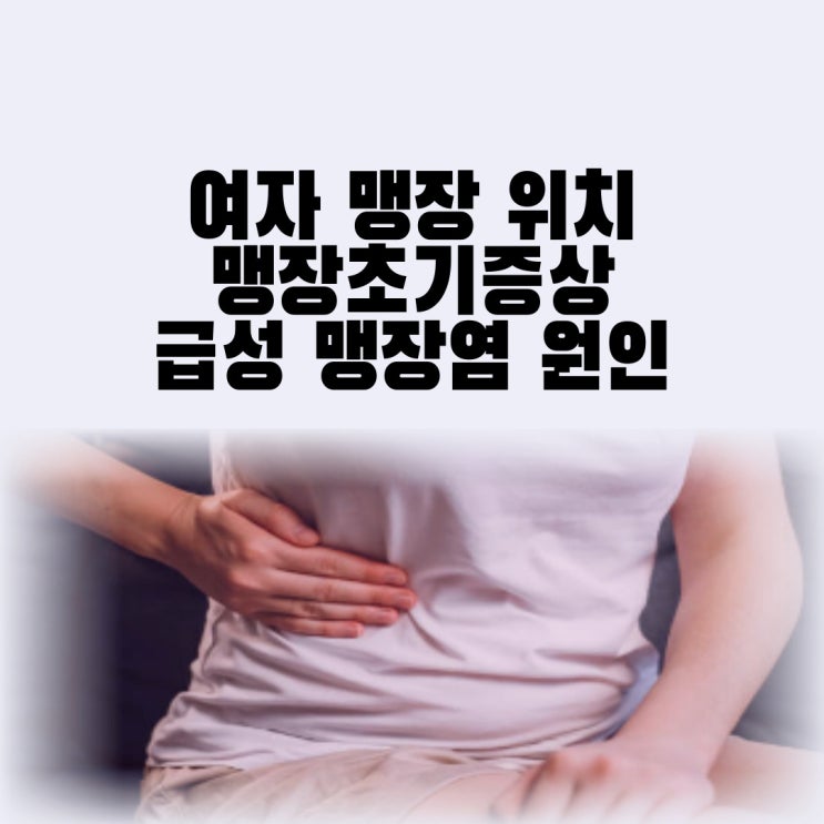  여자 맹장 위치 맹장초기증상 급성 맹장염 원인 수술