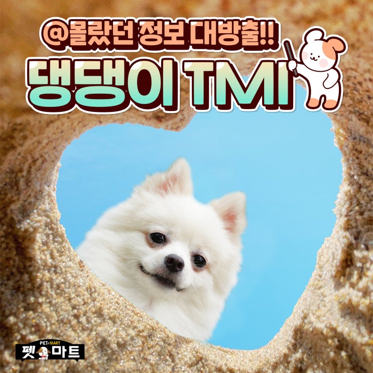  강아지에 대한 몰랐던 사실! 잡지식 대방출