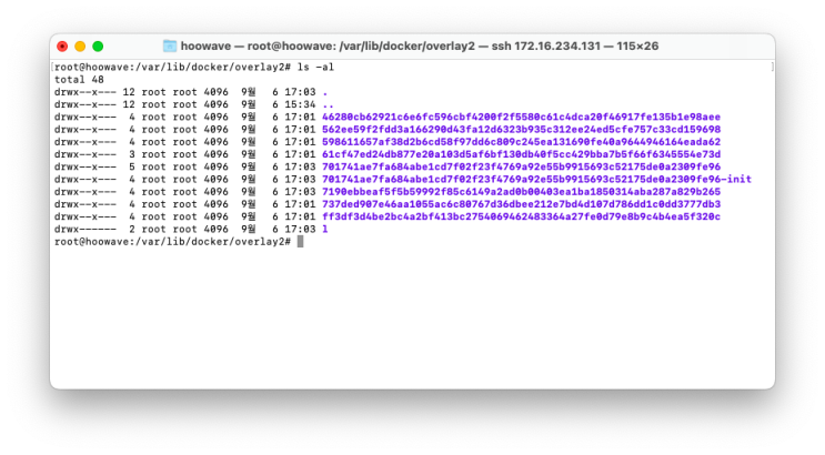  macOS에서 Ubuntu(가상)으로 Docker 사용하기