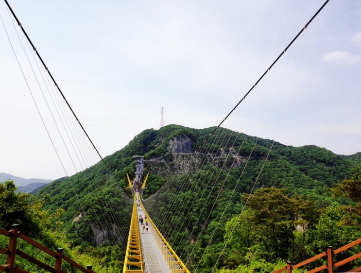  원주 소금산 출렁다리 고소공포증 탈피